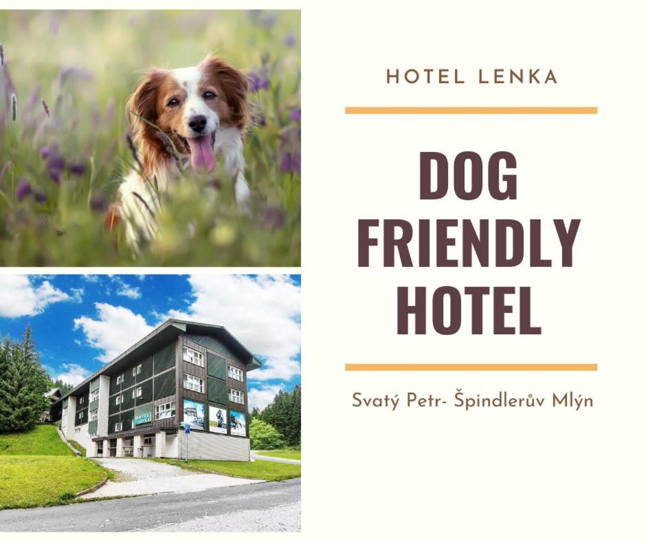 Lenka Hotel 3*